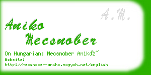 aniko mecsnober business card